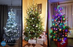 Wasze świąteczne drzewka