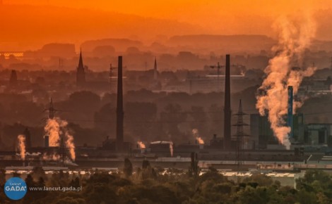 Jak ograniczyć negatywny wpływ smogu na zdrowie?