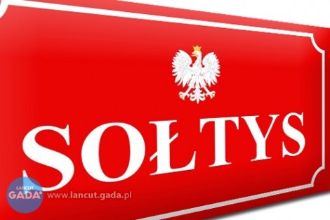 Wybory sołtysów