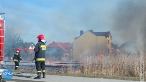 Znowu płoną trawy