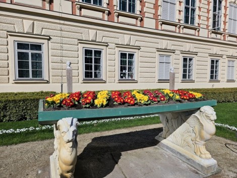 Rodzinne powitanie wiosny