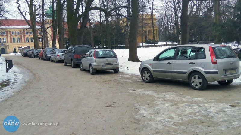 "Parking" w parku
