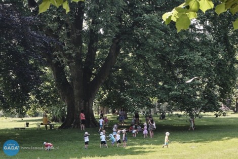 Lato w&nbsp;muzeum